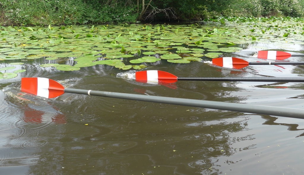 Rudersport in Warnstufe 4