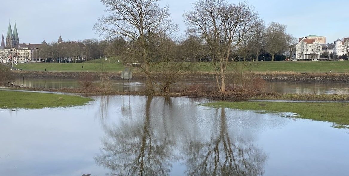 Der Vorstand berichtet (Januar 2022)
